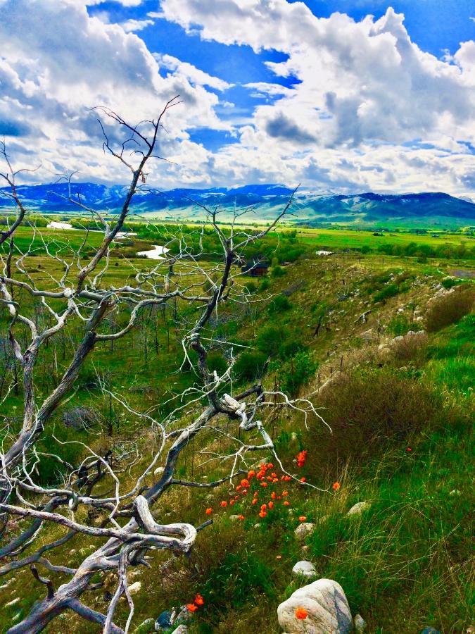Pine Creek Cabin Livingston Montana エクステリア 写真