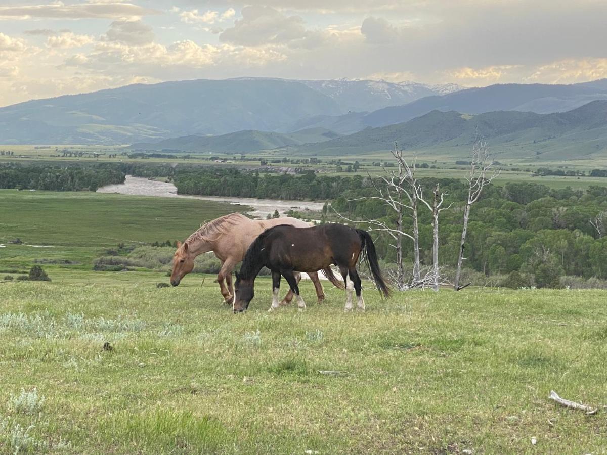 Pine Creek Cabin Livingston Montana エクステリア 写真