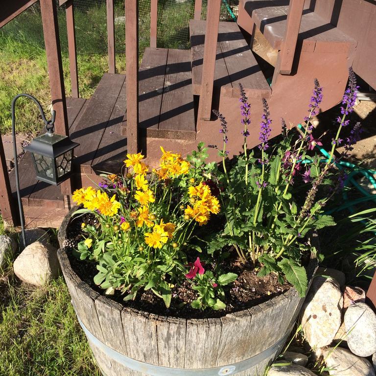 Pine Creek Cabin Livingston Montana エクステリア 写真