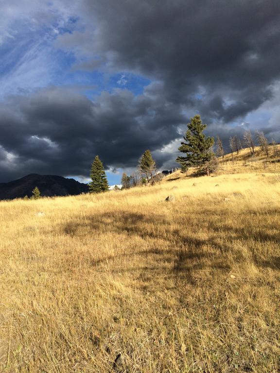 Pine Creek Cabin Livingston Montana エクステリア 写真